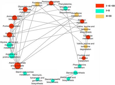 Applying GC-MS based serum metabolomic profiling to characterize two traditional Chinese medicine subtypes of diabetic foot gangrene